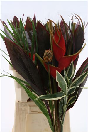 Heliconia Bouquet 60cm