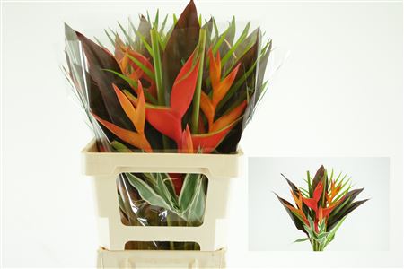 Bouquet Petit