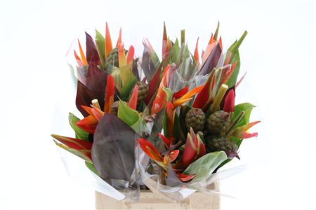 Bouquet Af (rd)