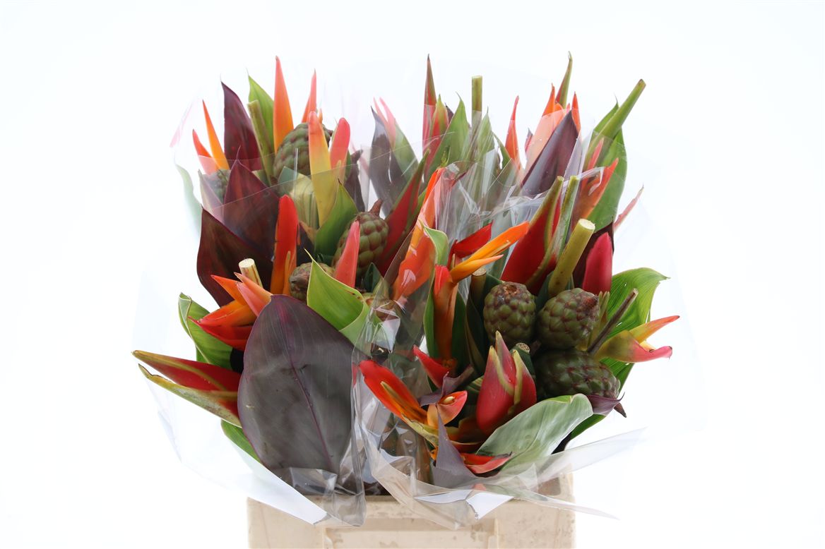 Heliconia Bouquet 45cm
